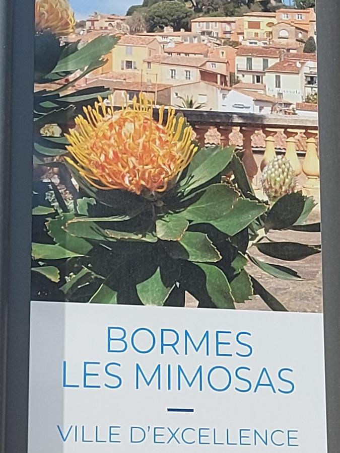 T2-Clim-Fibre-Garage 2,30 X 4,95 X 1,90 A La Faviere Apartment Bormes-les-Mimosas Exterior photo